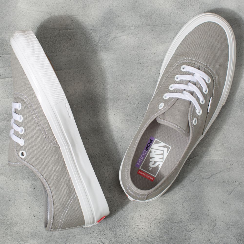 Pánské Skate Boty Vans Wrapped Authentic Tmavě Šedé | IQ7039681