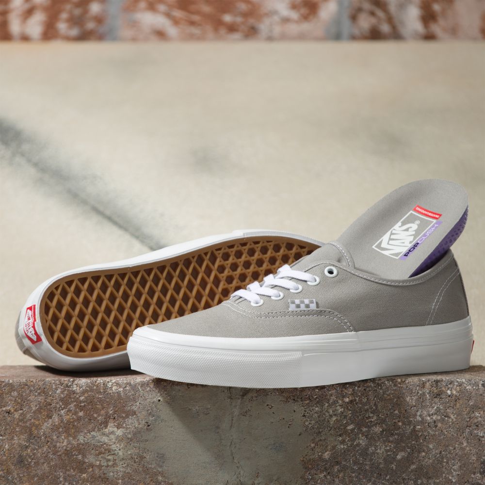 Pánské Skate Boty Vans Wrapped Authentic Tmavě Šedé | IQ7039681