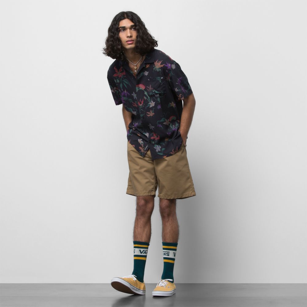 Pánské Šortky Vans Authentic Chino Relaxed 20 Viacfarebný | WE1407269